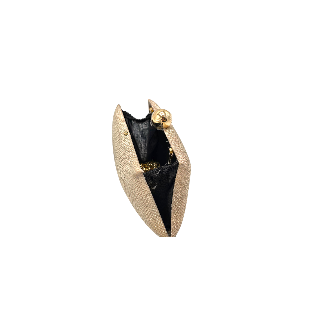 Mini Shinny Clutch - Fashion Vogue 